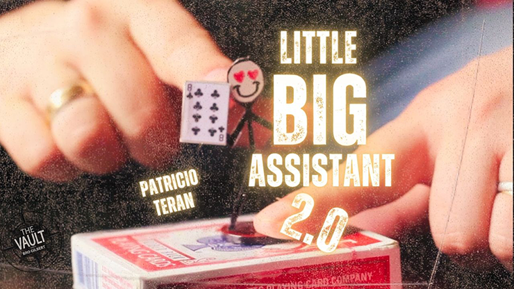 Little Big Assistant 2