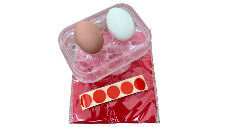 Silk to Egg