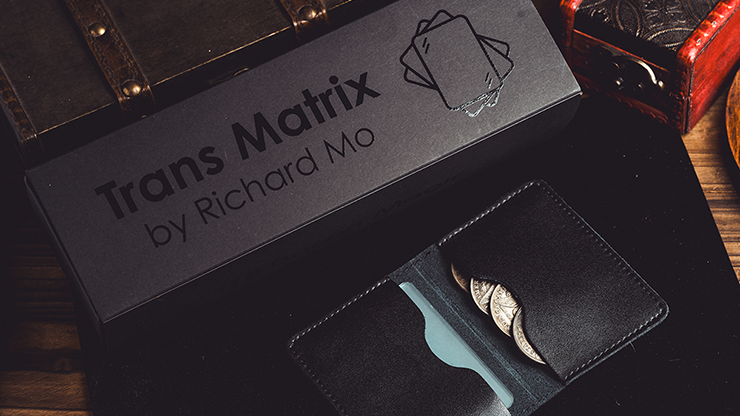 Transparent Matrix (Half Dollar) 2024