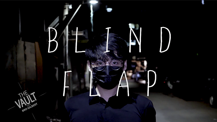 Blind Flap Project