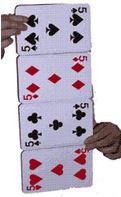 Card Panel Production