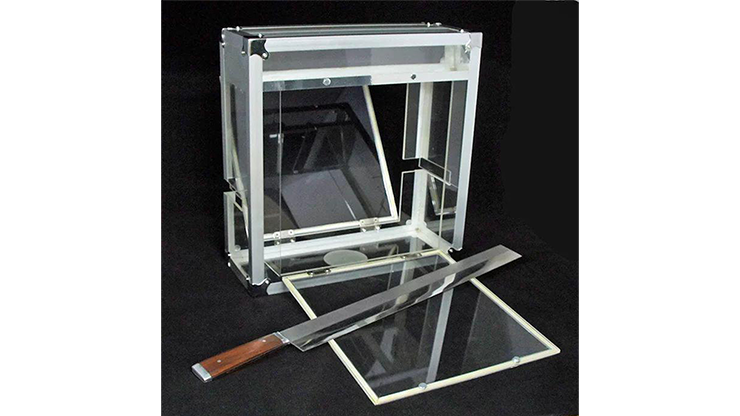 Doves on Sword in Glass Cube