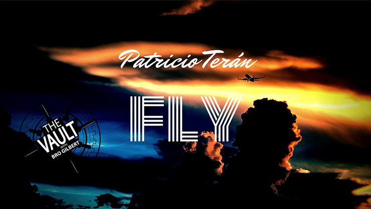 Fly