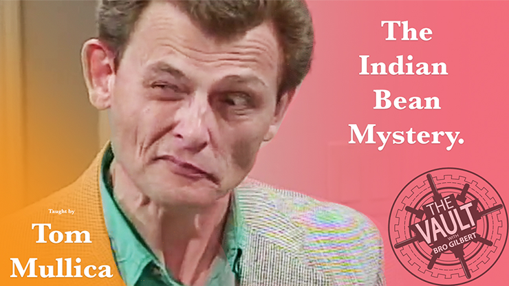 Indian Bean Mystery