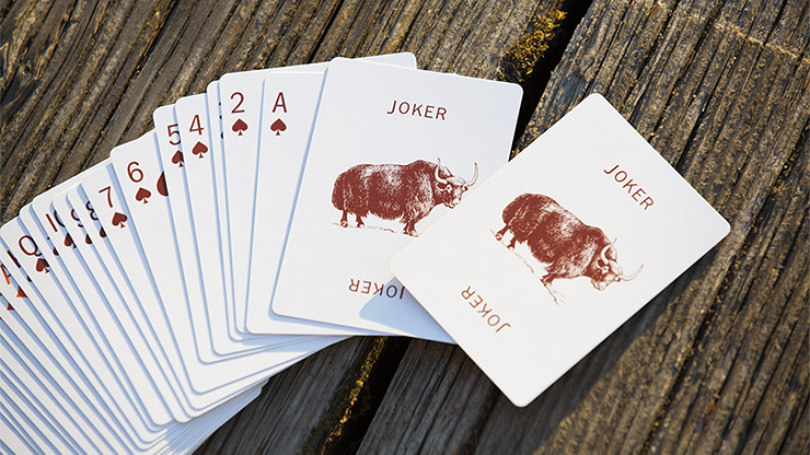 World Tour Playing Cards