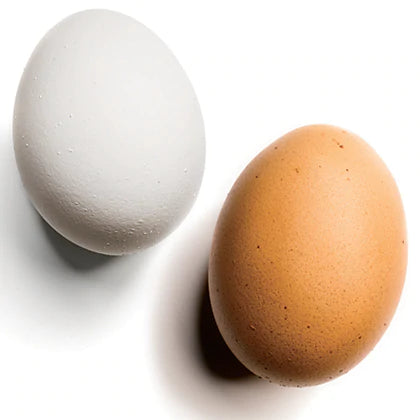 Silk To Egg EGGS ONLY