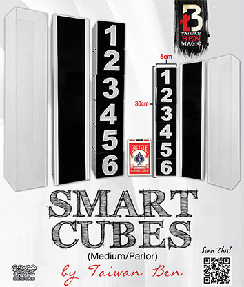 Smart Cubes