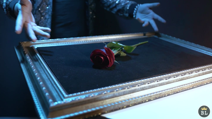 Visual Matrix AKA Rose Act