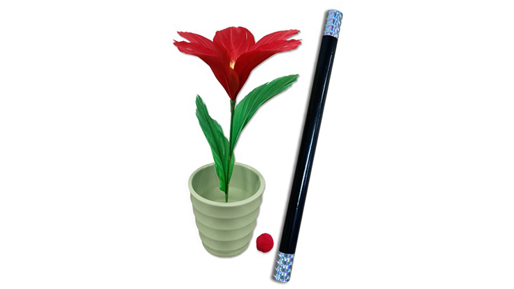 WAND TO FLOWER