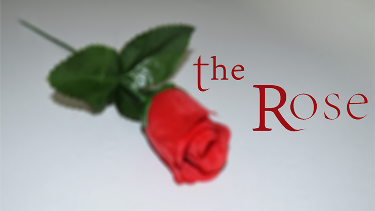 The Rose