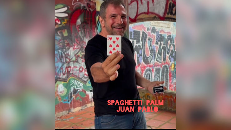 Spaghetti Palm