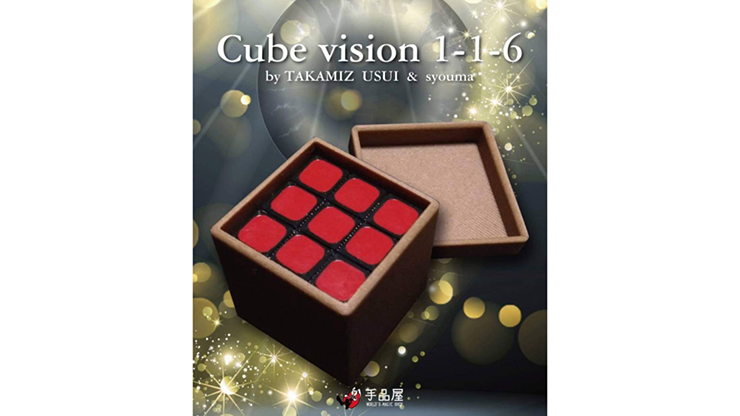 Cube Vision 1-1-6