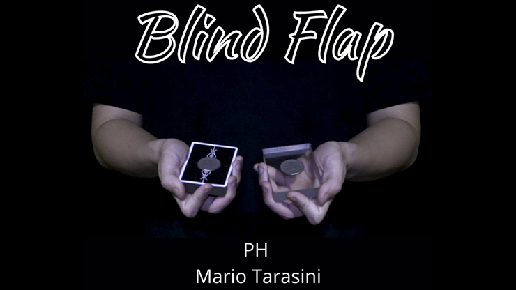 Blind Flap Project