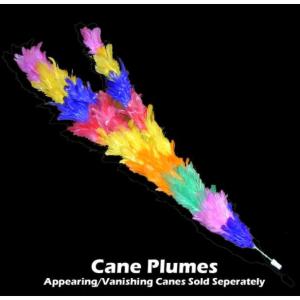 Cane Plumes