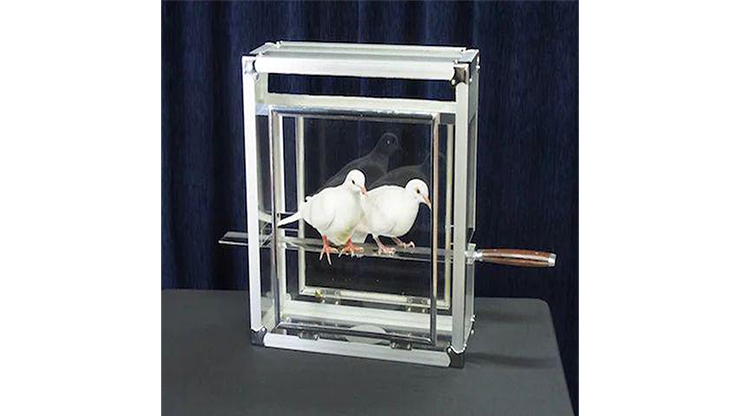 Doves on Sword in Glass Cube