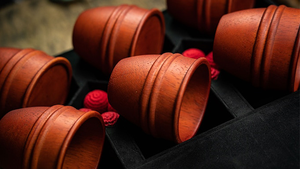 Final Wooden Cups