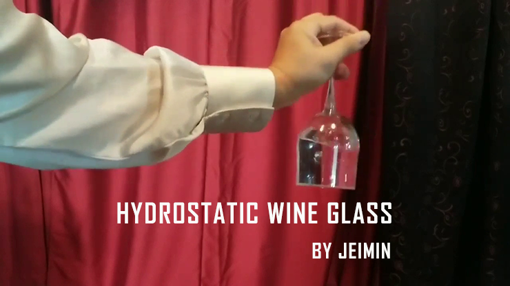 Hydrostatic Wine Glass