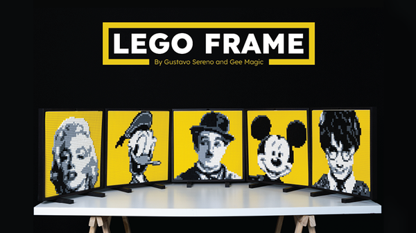 LEGO FRAME